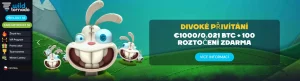 WildTornado casino